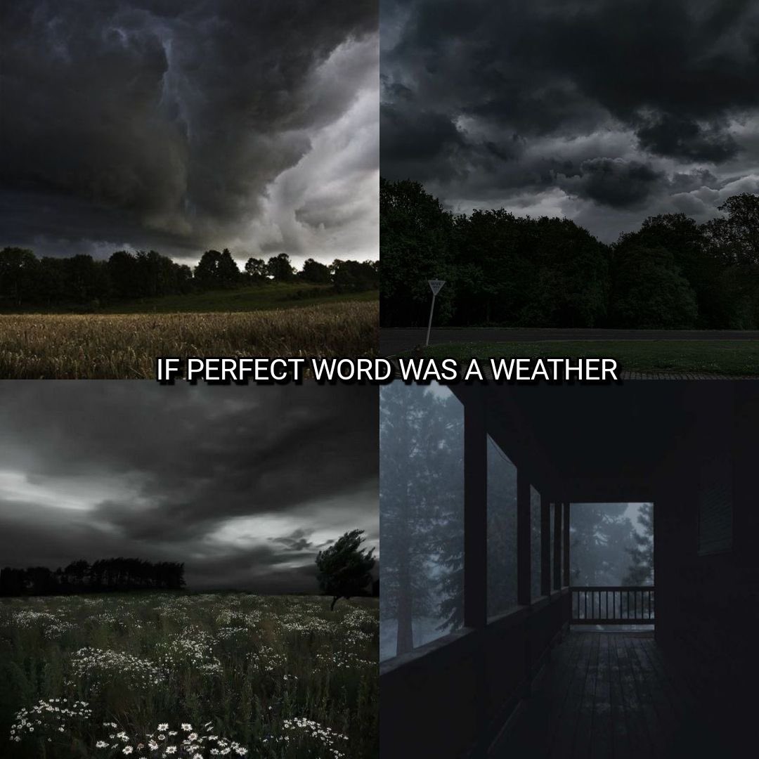 👻 𝘯𝑎𝘵𝑢𝘳𝑒 👻 tweet media