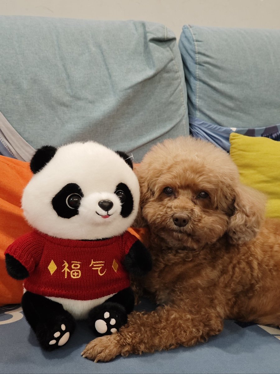 Curious_Observer tweet media