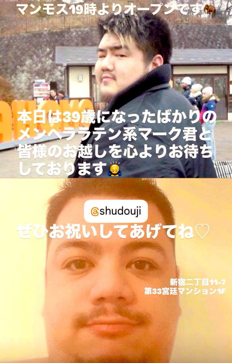 マンモス tweet media