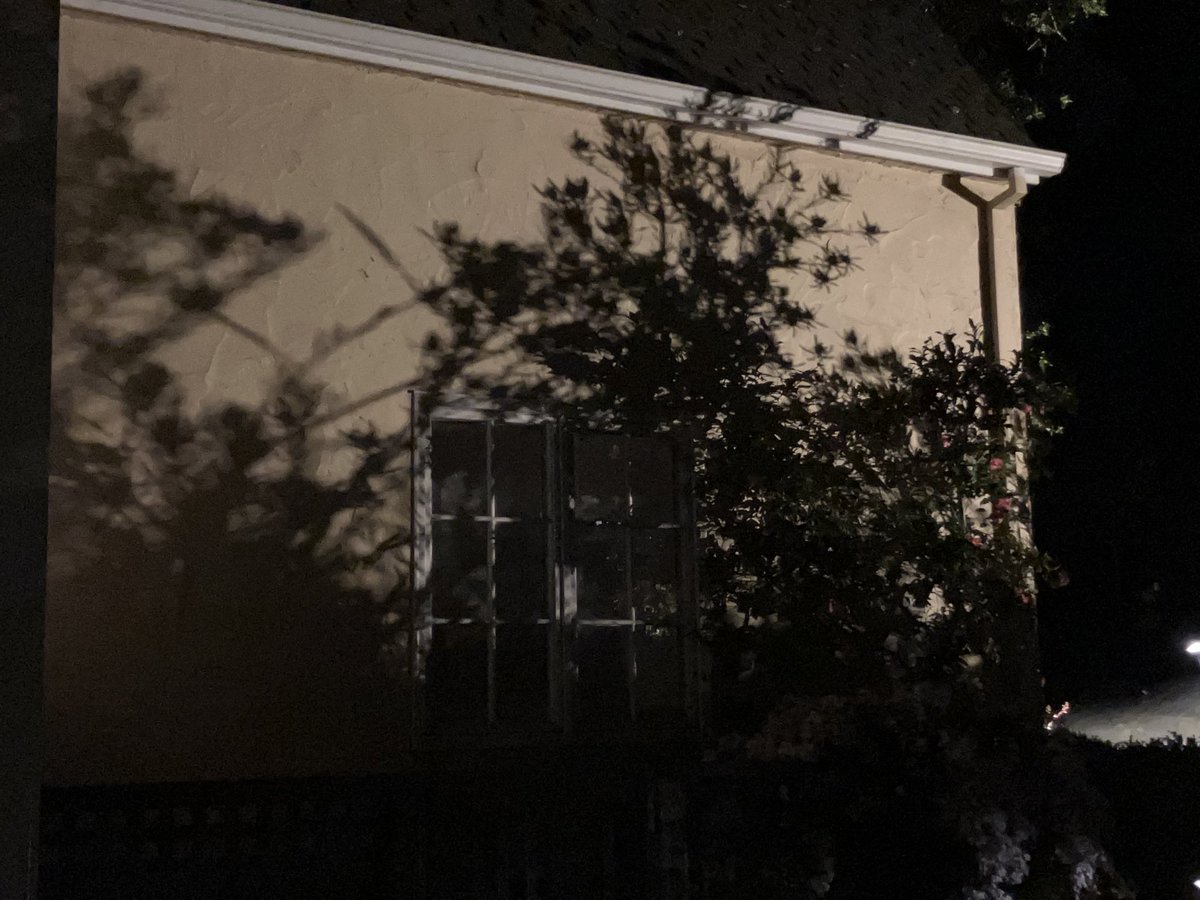 Matt Kramer 🧸 tweet media