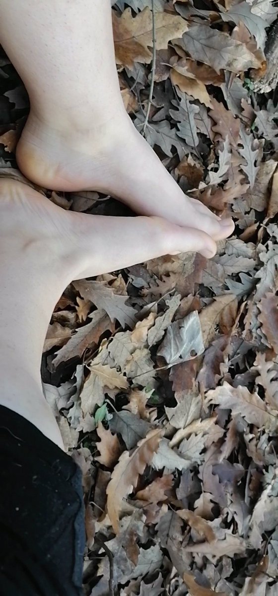 mandylanewild's tweet photo. Feet pics #linkinbio #feet #feetfetısh #feetworshi̇p #soles #toes https://t.co/GTbwh8HVRs