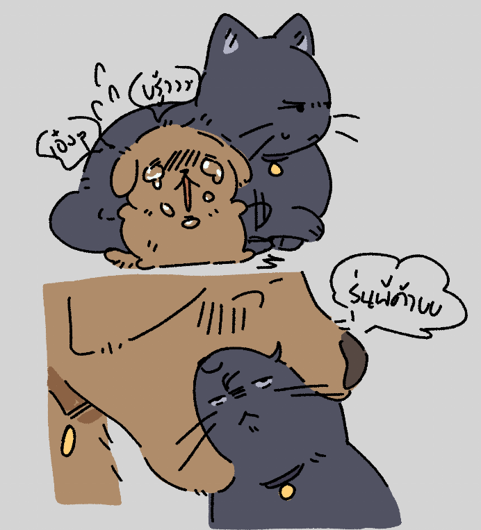 🐣콴🐥 tweet media