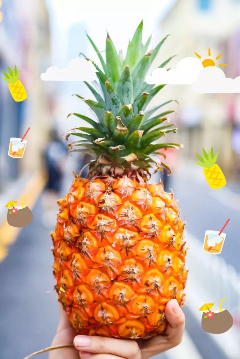 Jennifer M Everton tweet media