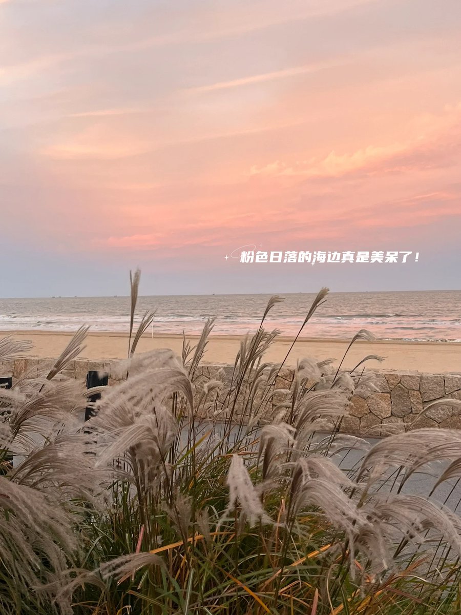 ana silvia villamiza tweet media