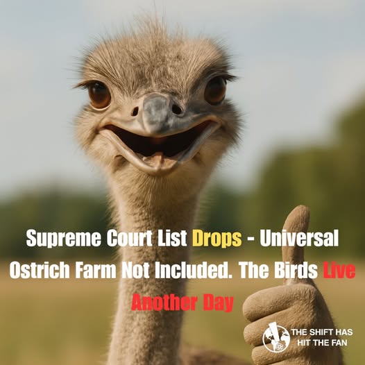 Shareaware Canada tweet media