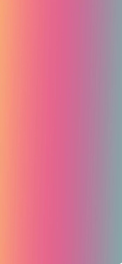 vanessa pina tweet media