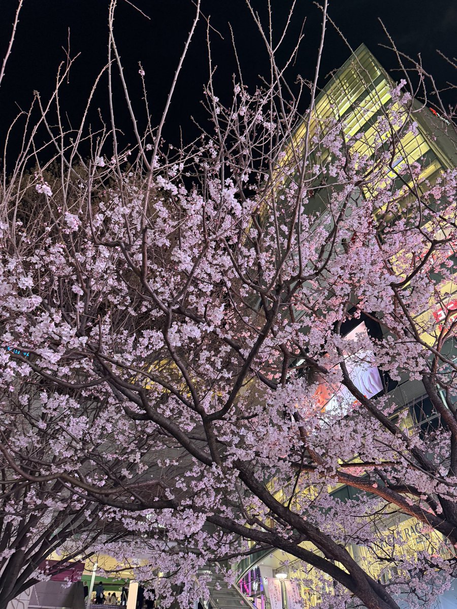 タカサキセイジ『誰と働くか』の社長 tweet media