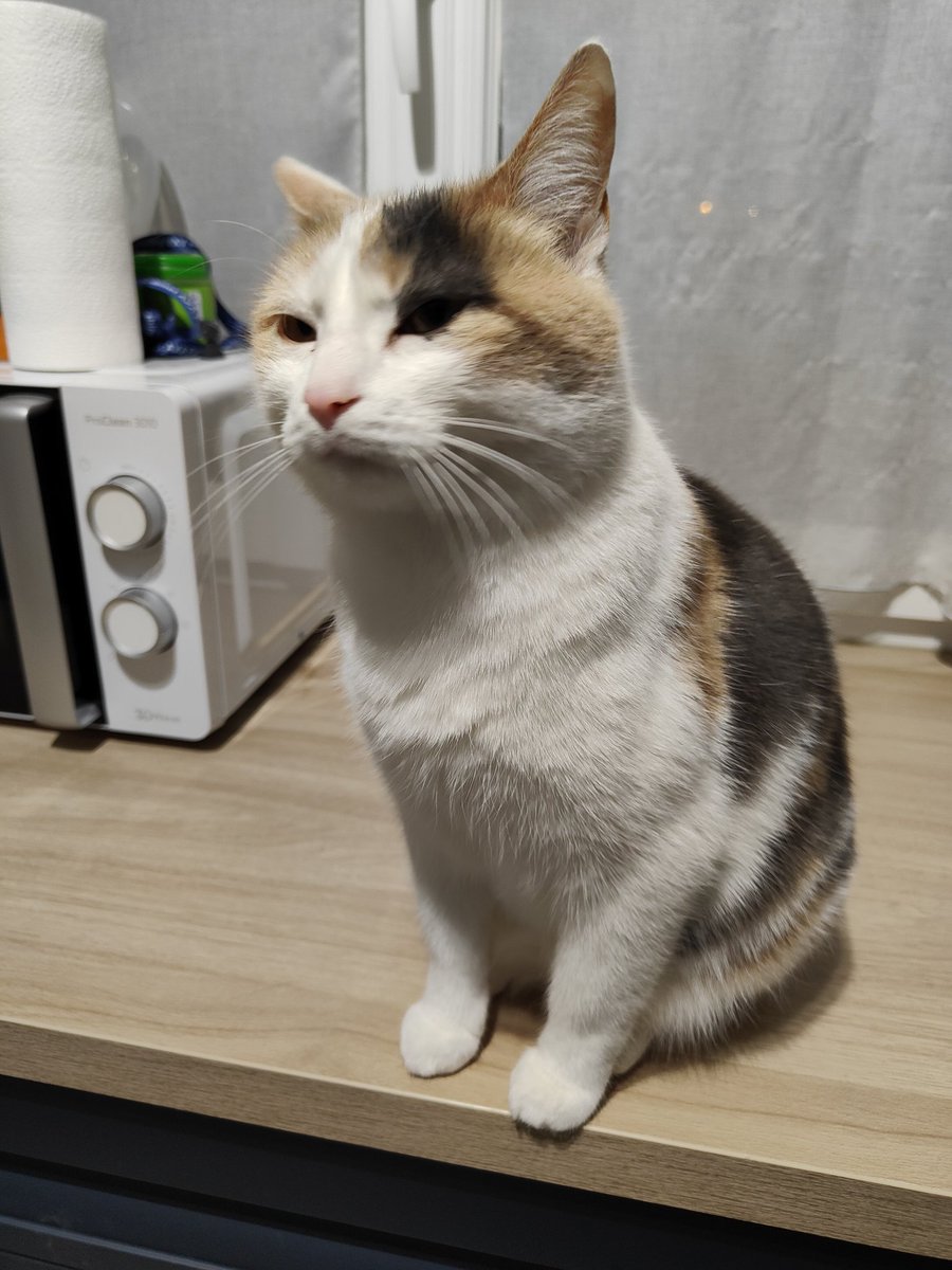 matchalien tweet media