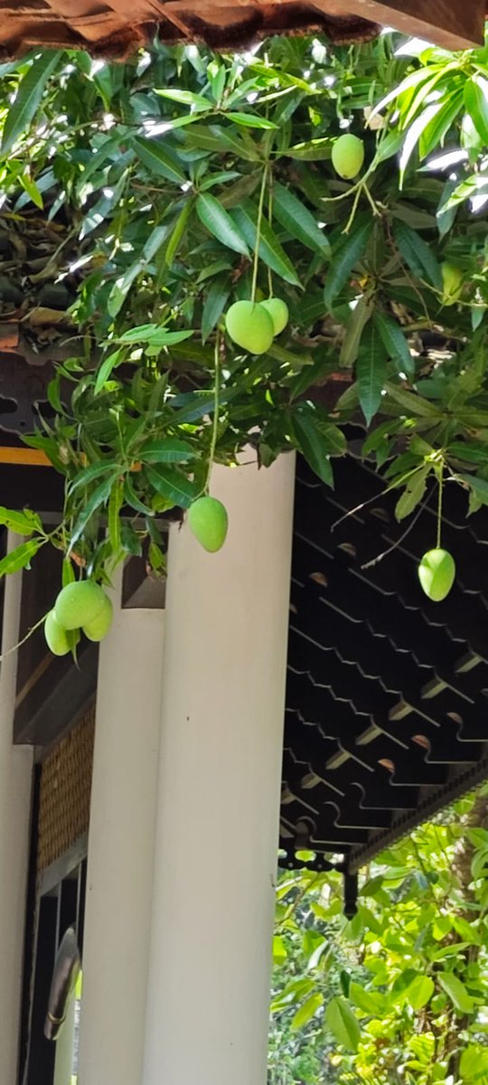 Silence👒 tweet media