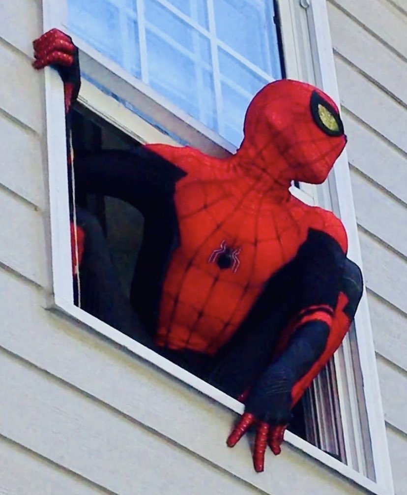 Boost ☆ 🇵🇷🐵 tweet media