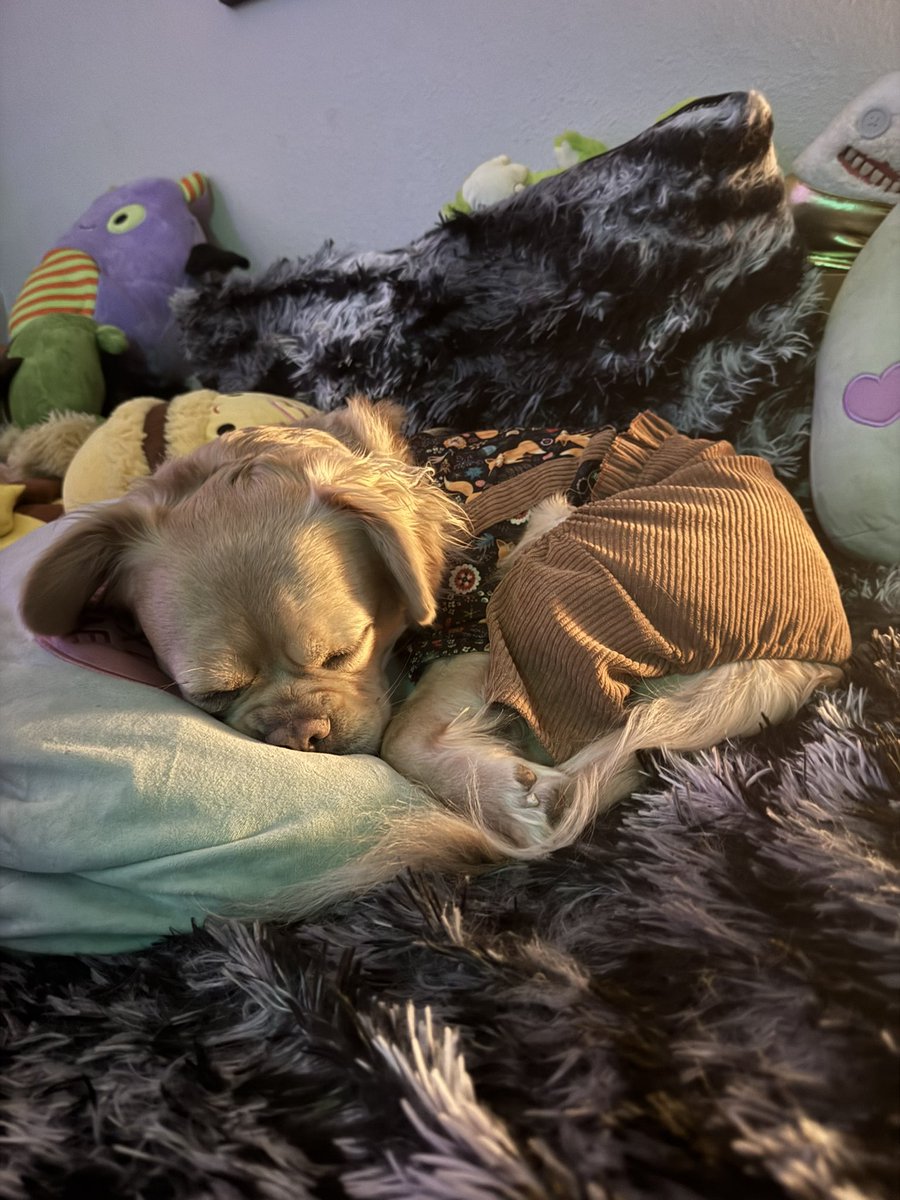 dak◡̈🐸🫑 tweet media