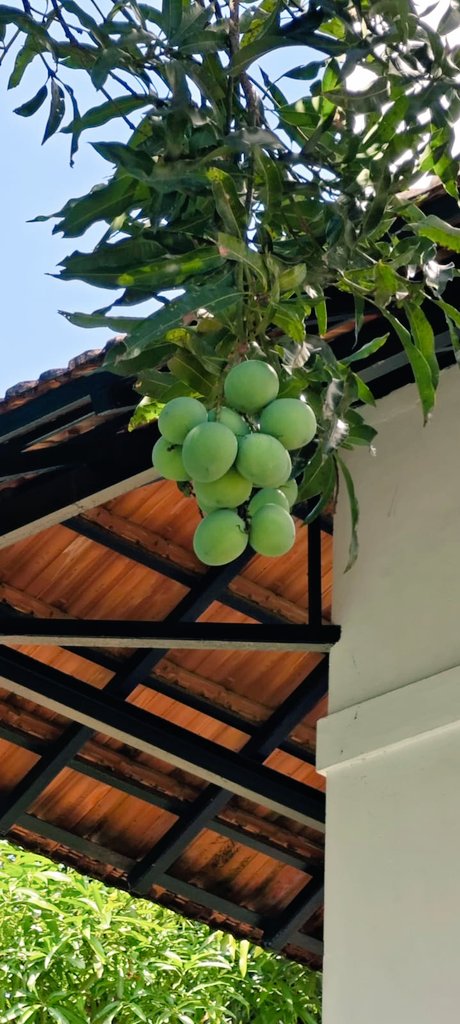 Silence👒 tweet media