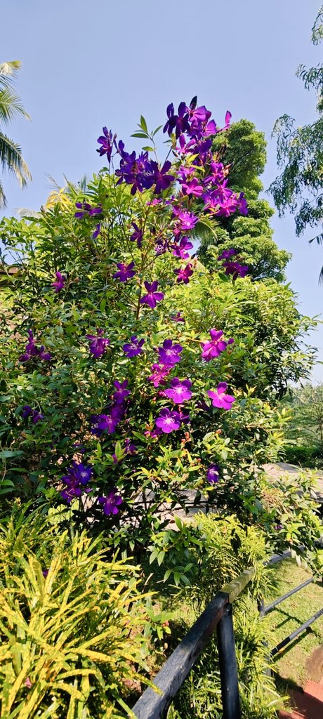 Silence👒 tweet media