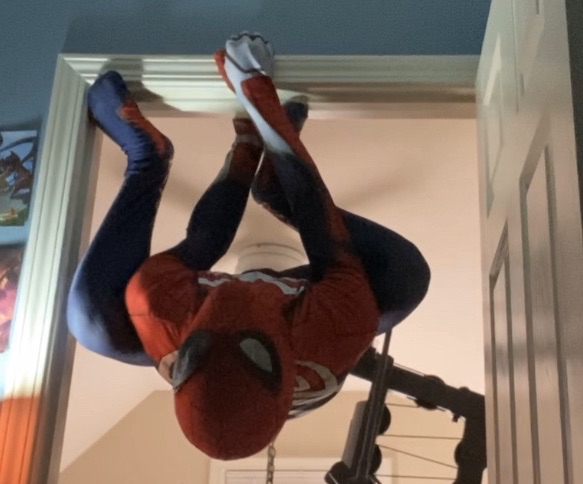 Boost ☆ 🇵🇷🐵 tweet media