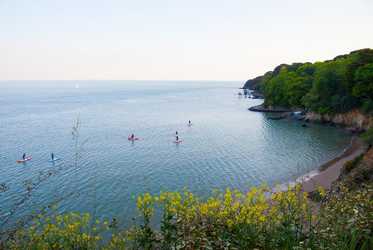 Gwénaël Santerre tweet media