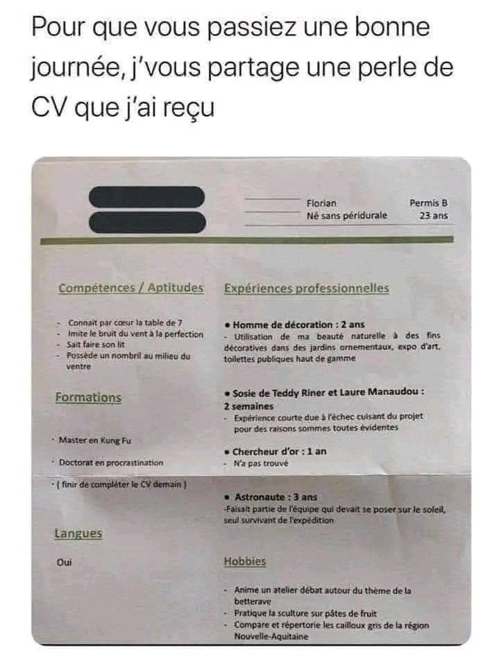 Elisabeth Bonnefond🐶🕊️🐰🐝 tweet media