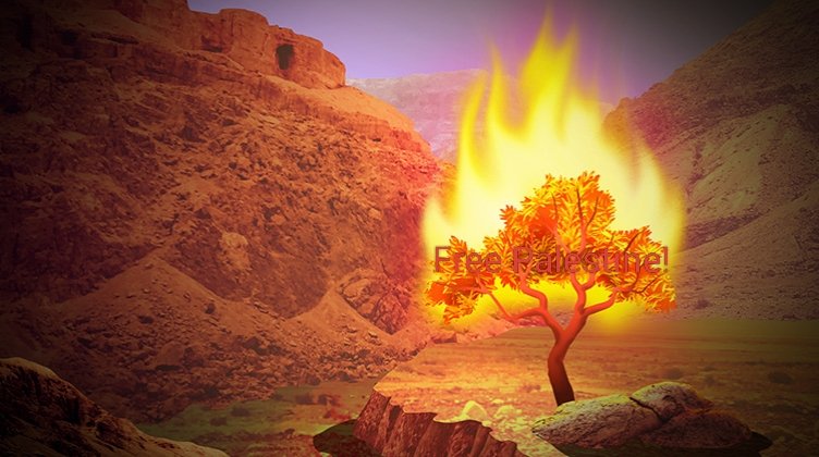 🇪🇸 tweet media