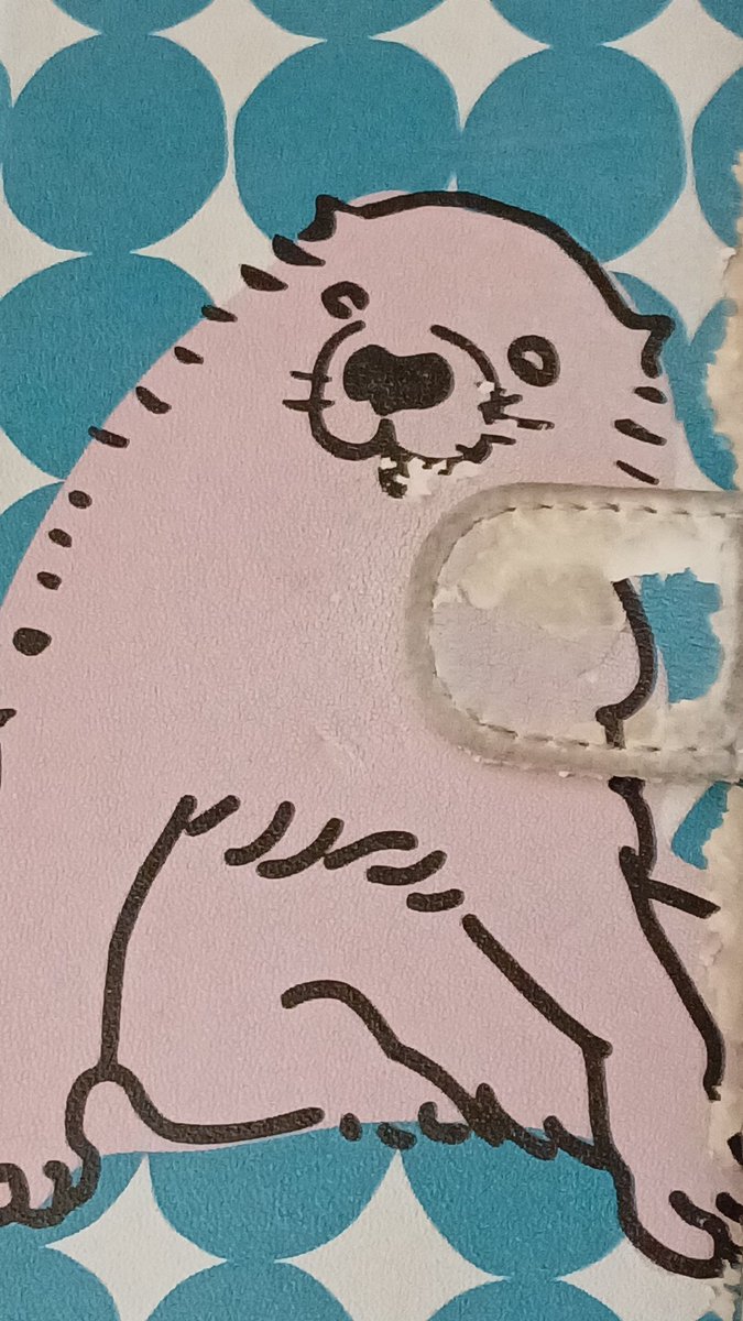 Kk太郎 tweet media