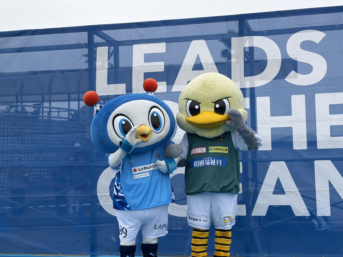 ふらんき tweet media