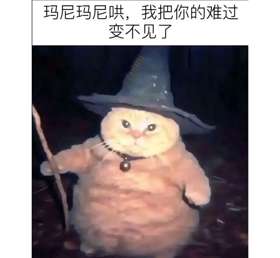 foolypunk tweet media