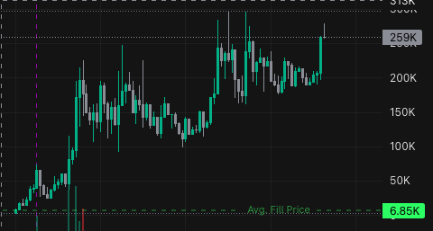 Elbᘒss tweet media