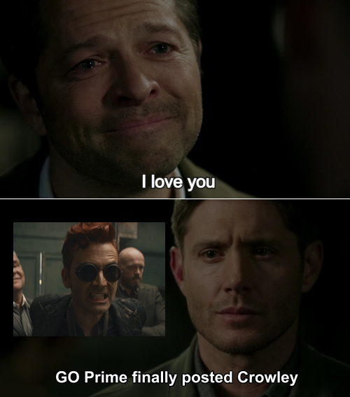 Nau 🐍 MAY 13!!! tweet media