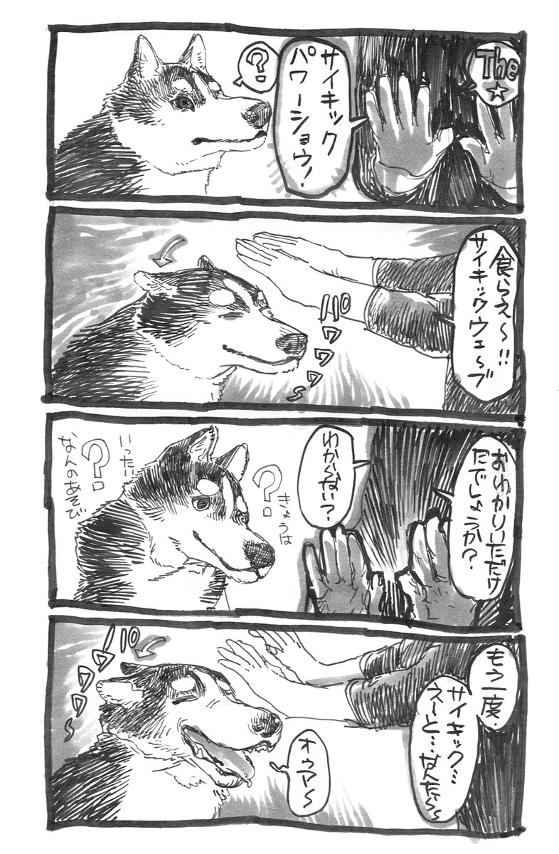 極楽鳥（ノーマル） (@59rq) on Twitter photo 