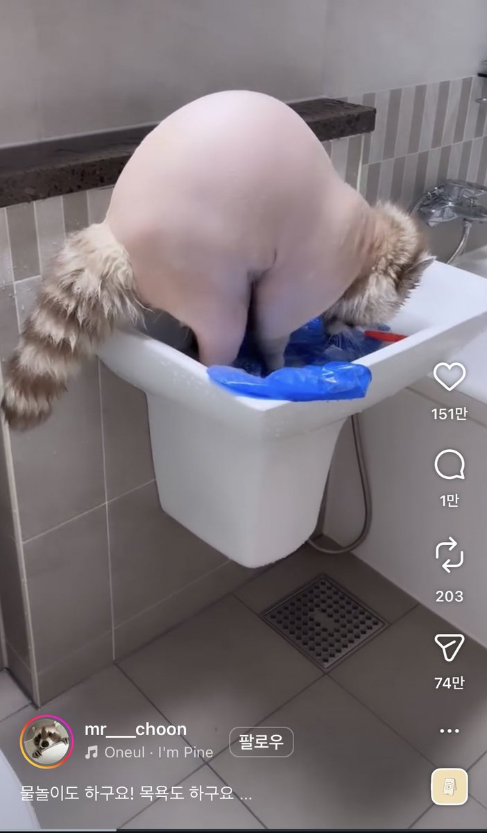 오랑🍀l tweet media