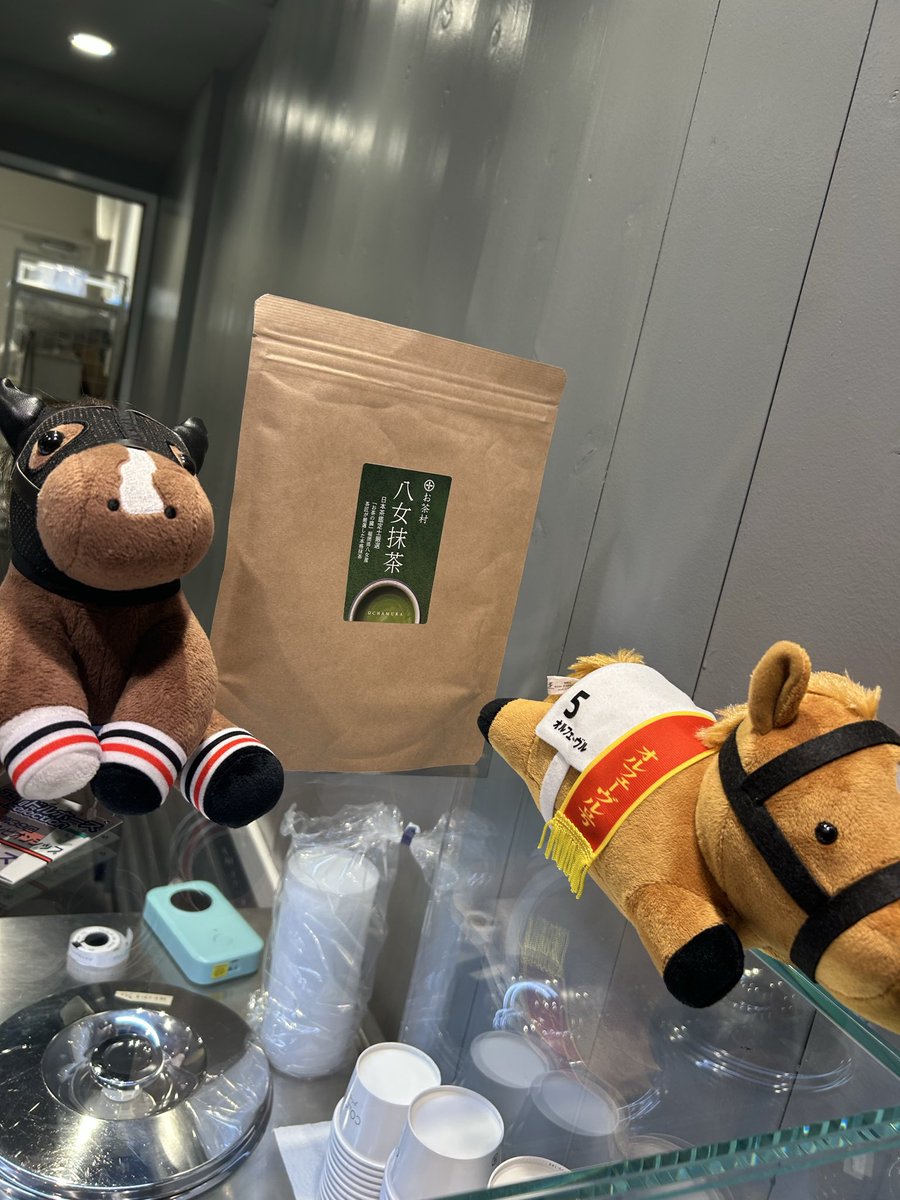 3ヶ月ぶりにジェラテリアコローレさんに来店しました😊
念願のワッフルコーンパフェとコーヒーをいただき至福の時間を過ごしました！
#gelateríaCOLORE
#フレーバーは八女抹茶2八女ほうじ茶黒ゴマ桜チーズケーキクラッシックショコラ
#八女市茶のくに親善大使
#福岡産のあっちゃん
<a href="/alohaarabian58/">福岡産のあっちゃん</a>