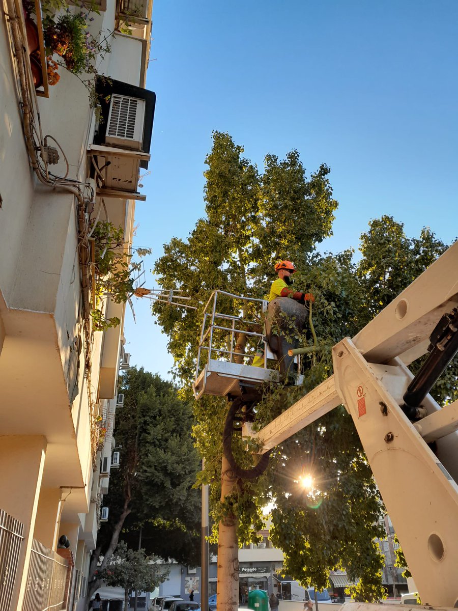 Parques y Jardines Málaga tweet media