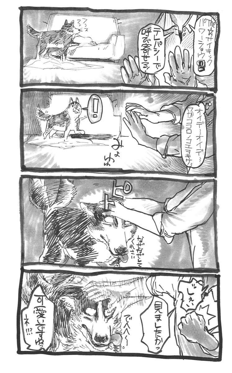極楽鳥（ノーマル） (@59rq) on Twitter photo 