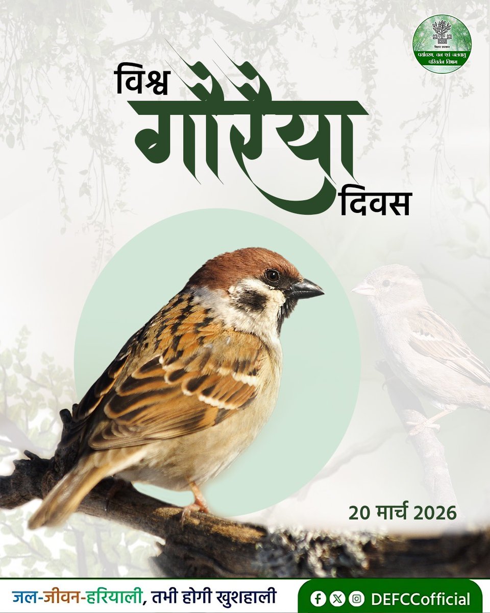 dmbettiah's tweet photo. पर्यावरण, वन एवं जलवायु परिवर्तन विभाग,बिहार की ओर से समस्त प्रदेशवासियों को विश्व गौरैया दिवस की हार्दिक शुभकामनाएं.
#sparrow #sparrowday https://t.co/uuULeZo0xv