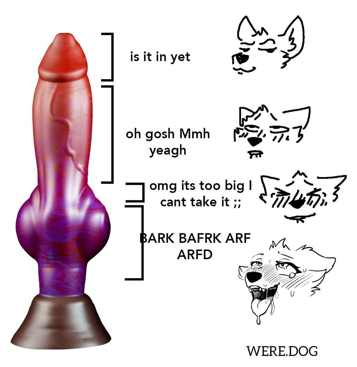 🌸Ravel🌸 tweet media