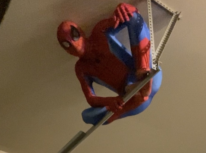 Boost ☆ 🇵🇷🐵 tweet media