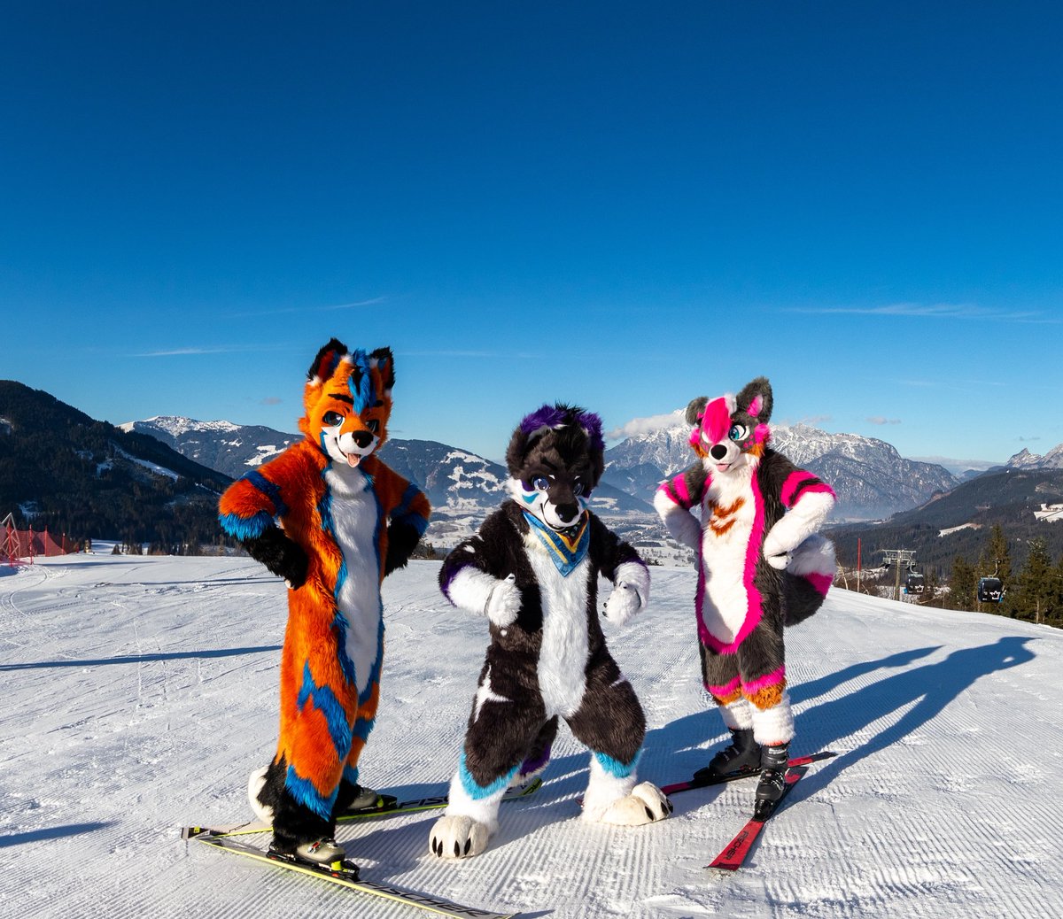 Fluffyfox09 tweet media