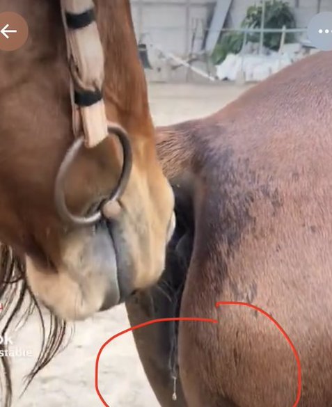 Rose.sui tweet media