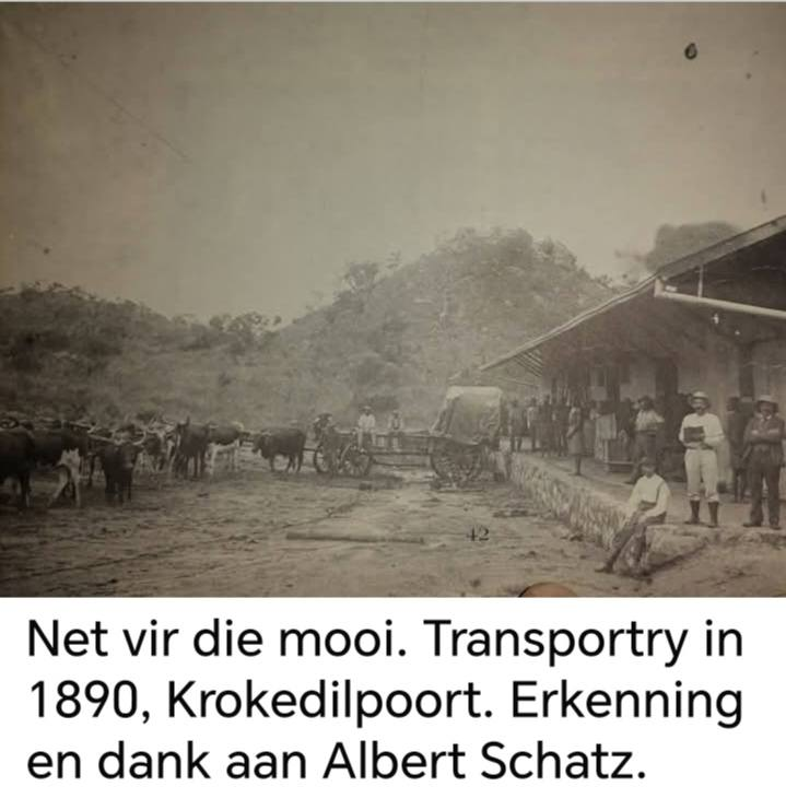 Mike the Warthog tweet media