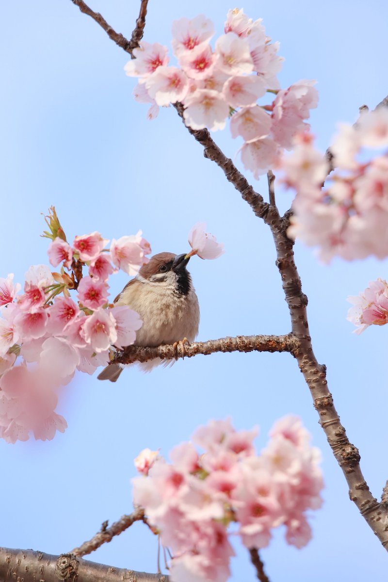 じゅんじゅん tweet media