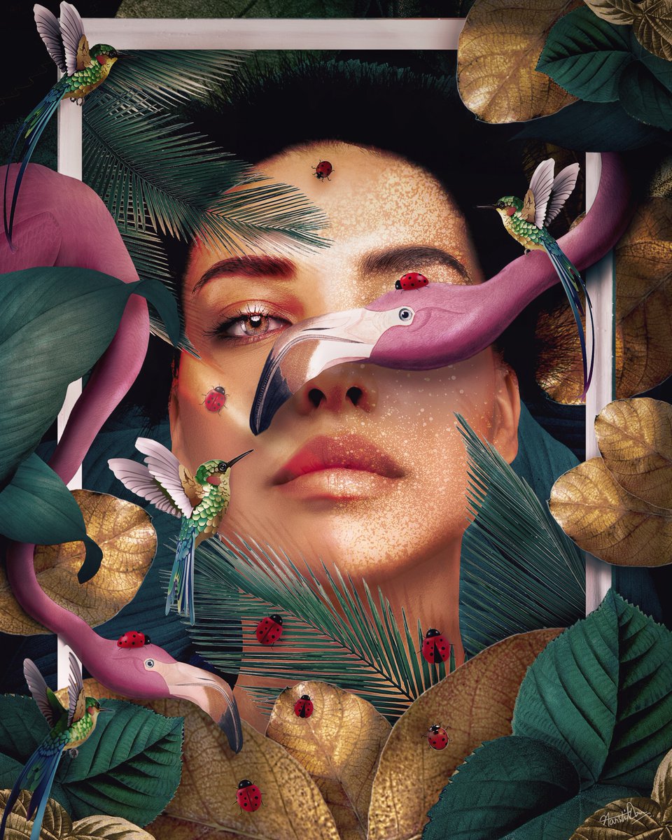 Harshit Dave tweet media