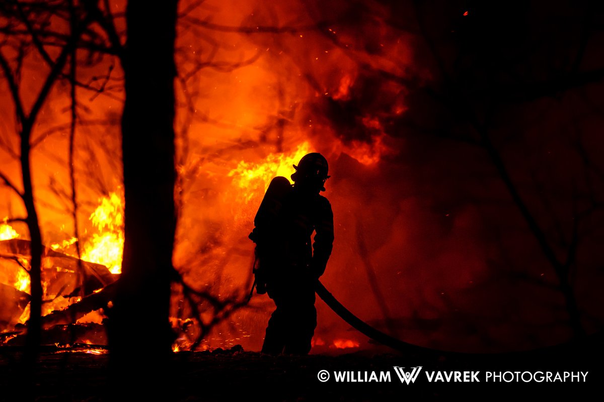 William Vavrek tweet media