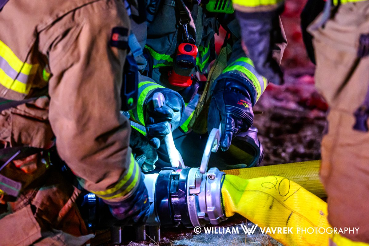 William Vavrek tweet media