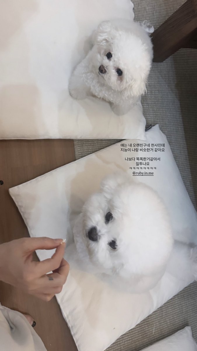 Ruby Updates tweet media