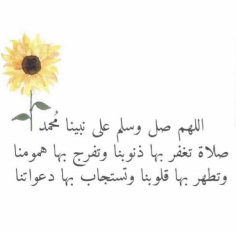 Meela ◇. tweet media