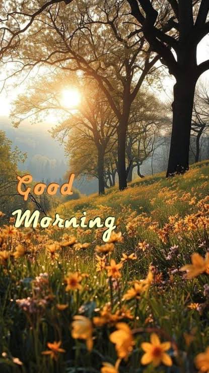 Good morning, X peeps. Only those who are daring get the sweetest honey.