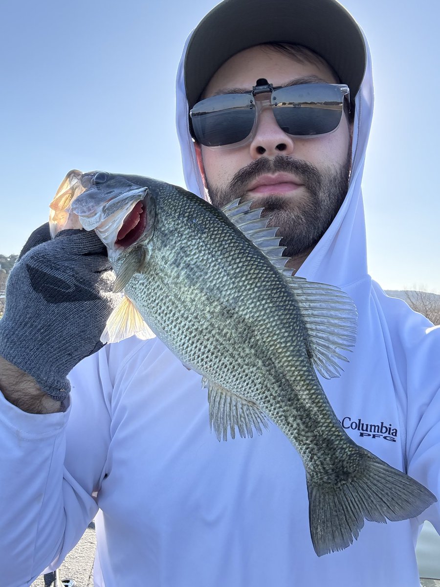 FLC Kickstart tweet media