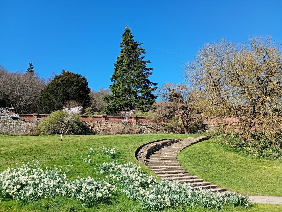 BBC Kent tweet media