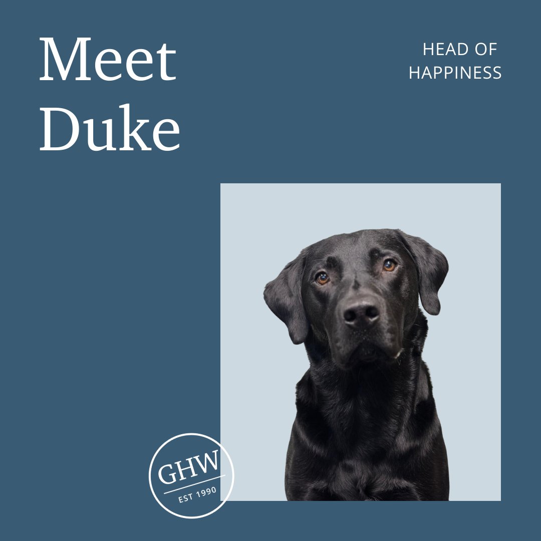 GHW Windows tweet media