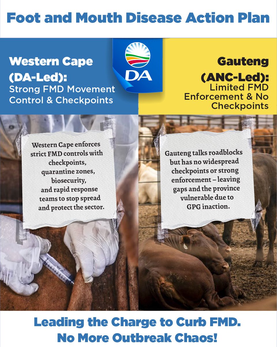 Democratic Alliance Gauteng Legislature tweet media