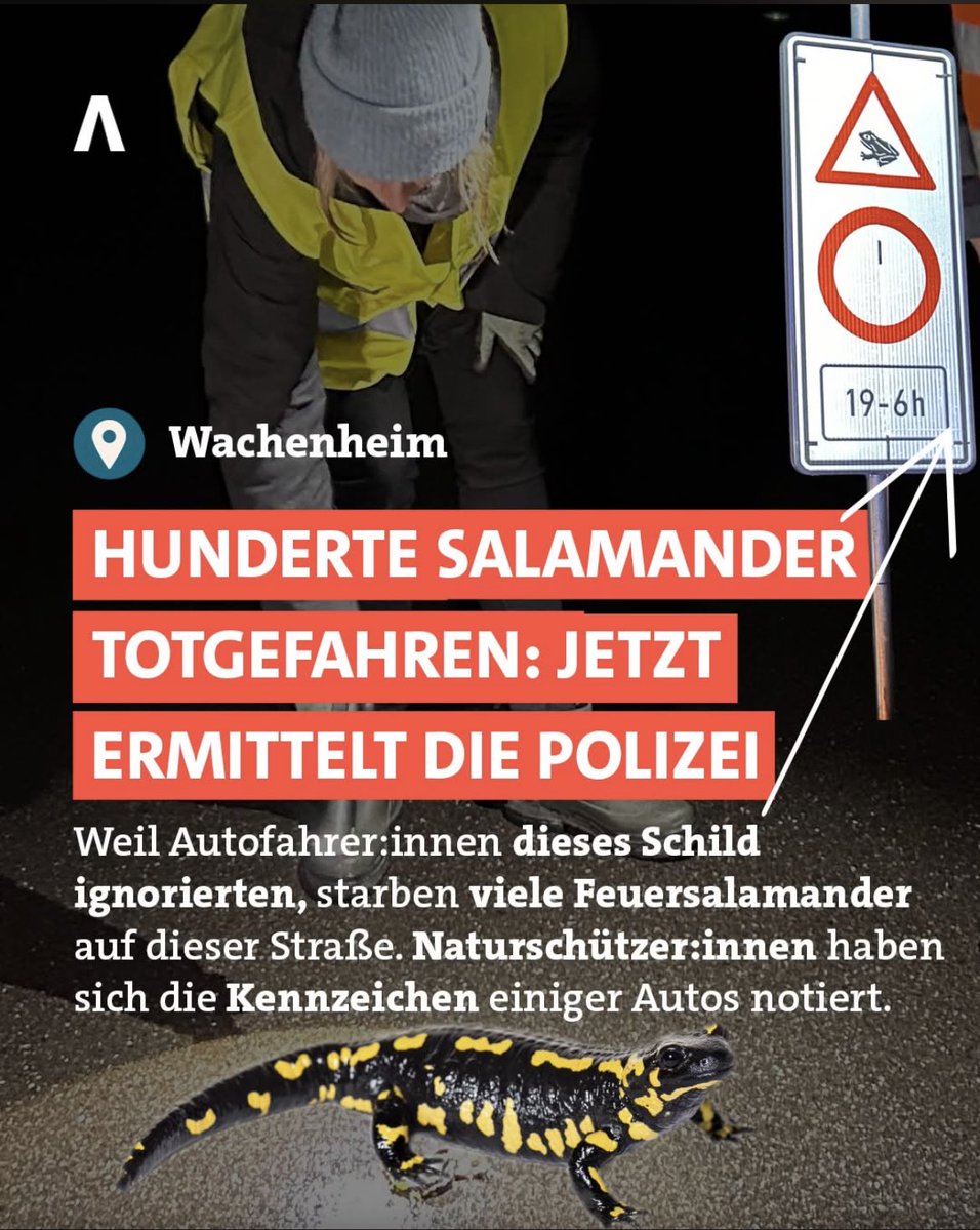 Fräulein Nass tweet media