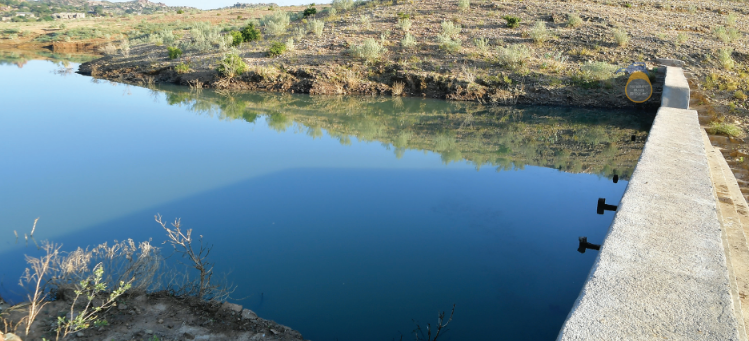 FikreJesus, PhD tweet media